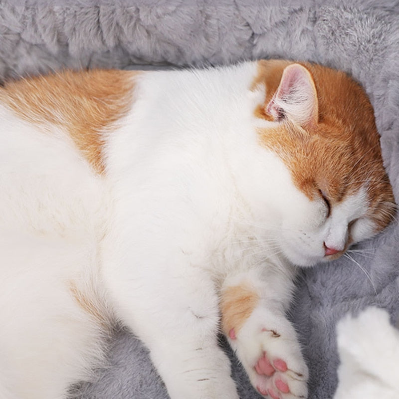 Cat Bed Soft Plush Kennel Cushion