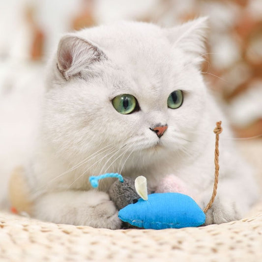 Cat Plush Mice