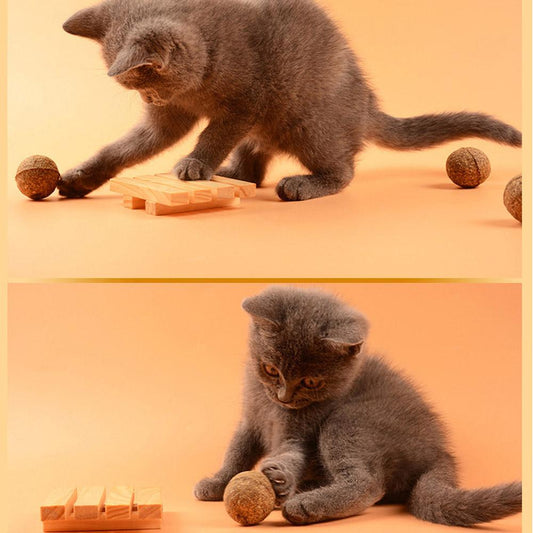 Natural Catnip, A Treat for the Best Cats!  Safe & Edible