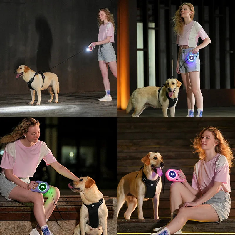 5M Automatic Retractable Dog Leash LED, For Small/ Medium Dogs