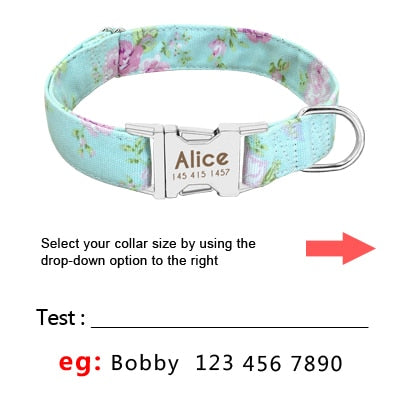 Personalized Dog Collar; Nylon & Adjustable